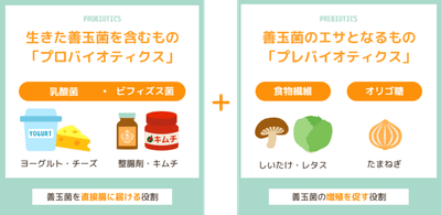 シンバイオティクス