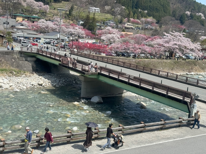 およそ5,000本の赤や白、ピンクの花桃が咲き乱れます