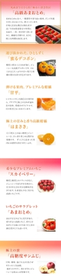 高級フルーツ