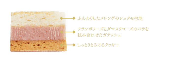 Succes Rose(シュクセ ロゼ) 三層説明図