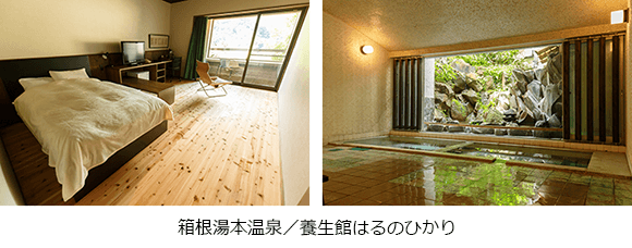 箱根湯本温泉/養生館はるのひかり