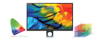 Adobe RGB 99％、Display P3/DCI-P3 95％、sRGB/Rec.709 100％カバーの広色域