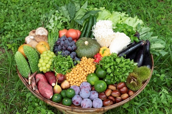 木の花ガルデンイメージ画像1