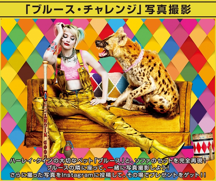 02 ハッシュタグキャンペーン「ブルース・チャレンジ」!