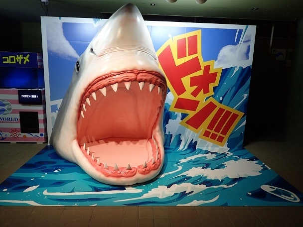 『「シャーキング」と記念撮影』1 ※画像はイメージです。