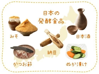 9月は『発酵食品と免疫について』 おかめ「納豆サイエンスラボ」が連載コラムを更新