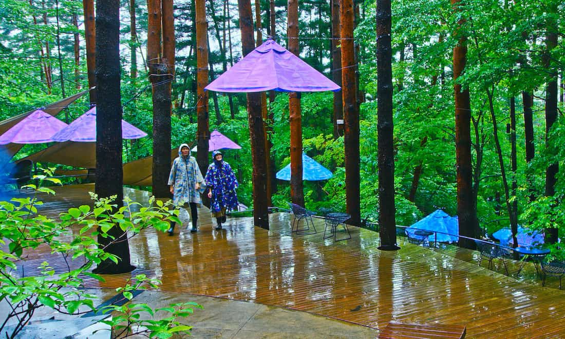 星のや富士　梅雨の森を楽しむ新しいスタイル 「雨グランピング」開催　期間：2020年6月1日〜7月15日