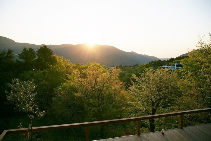 ビオテラスオルガニカ箱根_日の出