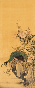 岸駒《孔雀図》（部分）江戸時代後期 善法律寺[前期展示]