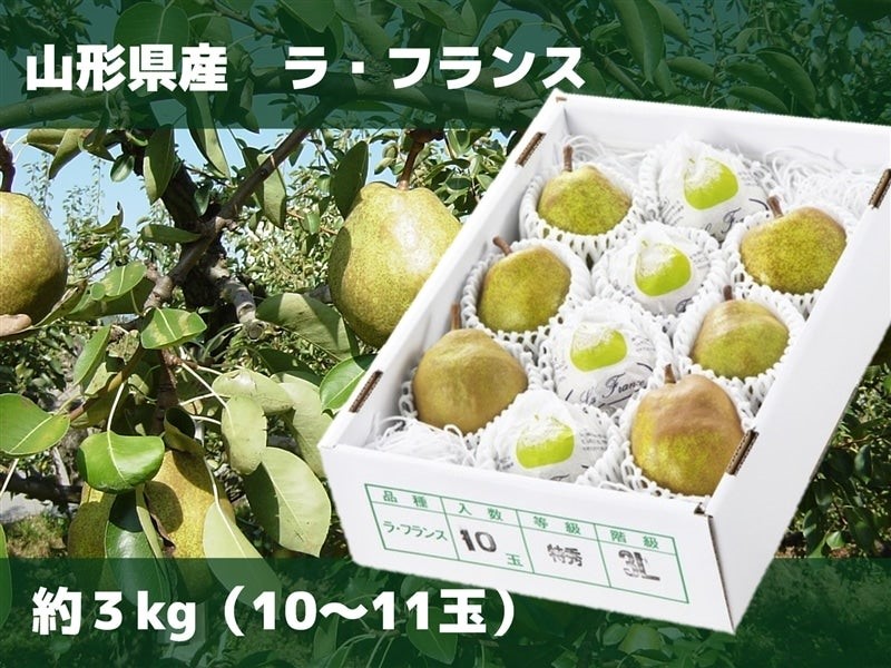 いのちを守る農場から 送料無料 山形の“んまいもの”が“お客様送料負担なし”！ 産地直送通販
