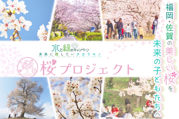桜プロジェクト