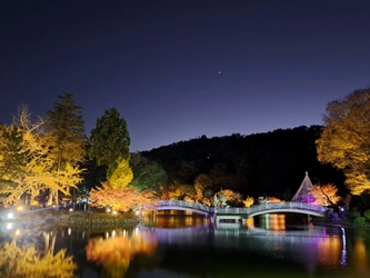 東京・町田市「秋遊び2025」開催中！ ～秋の夜を彩る、幻想的な雲海と紅葉ライトアップ～