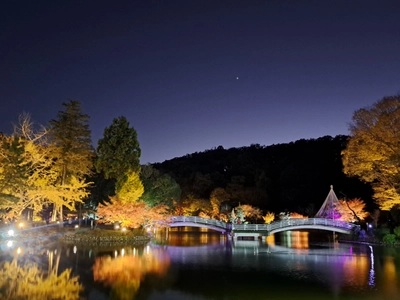 東京・町田市「秋遊び2025」開催中！ ～秋の夜を彩る、幻想的な雲海と紅葉ライトアップ～