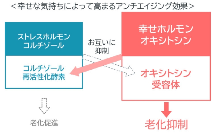 幸せな気持ちによって高まるアンチエイジング効果