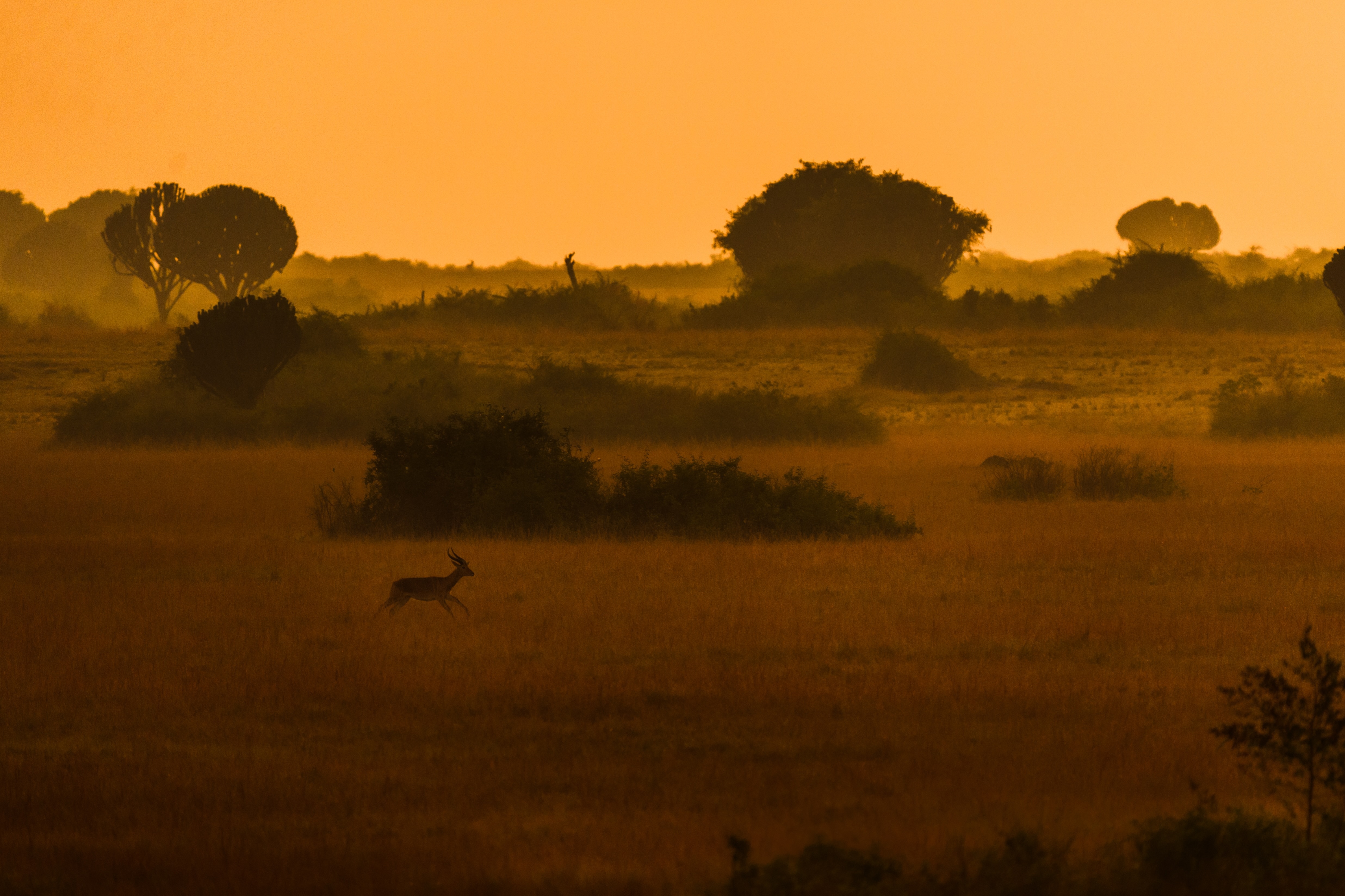 CREATIVE & DIALOGUE no.5