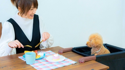 愛犬・愛猫と同じ目線で過ごすことができる