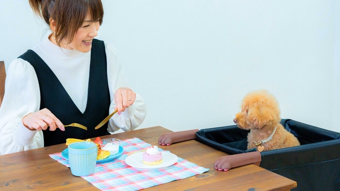 Chocorinを使うと、食事中の飼い主の手が自由になる上に、ペットと同じ目線で過ごすことができるようになります