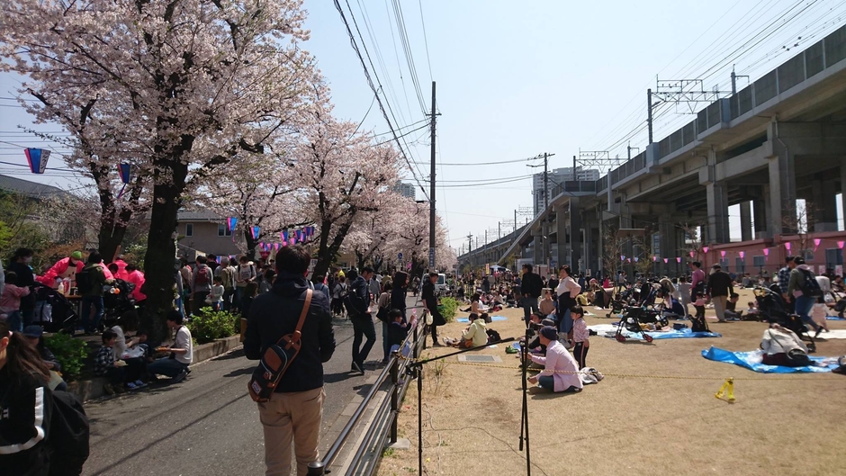 さくら祭りの様子1