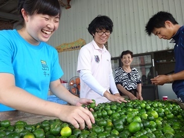 「2017年夏の島キャンキックオフミーティング」を7/1(土)に開催