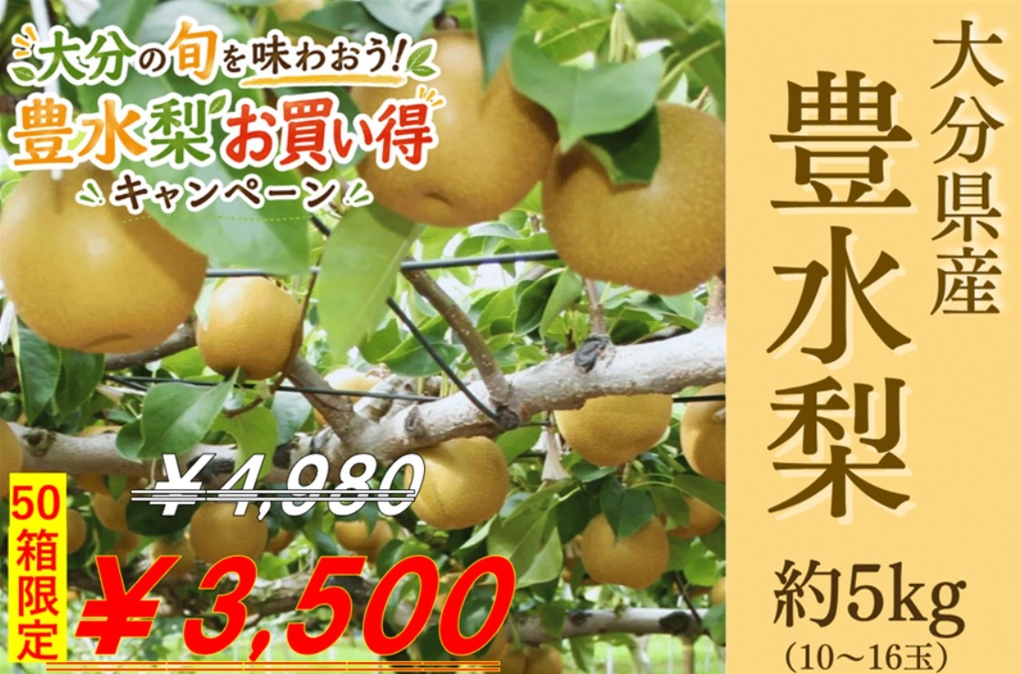 大分県産「豊水梨」を50箱限定価格で販売!果汁たっぷりの秋の味覚をJAタウンのショップ「まるっと完食おおいた」からお届け~「大分の旬を味わおう!豊水梨お買い得キャンペーン開催~