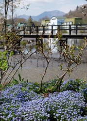 「軽井沢レイクガーデン」 2026年の開園期間は4月17日(金)～11月8日(日)　 約1万坪の庭園にイングリッシュローズやハーブなどが咲き誇る