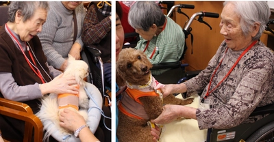 産学連携で、人と犬の触れ合いによる効果を研究　 人と犬の双方の幸せホルモン増加を実証　 2019年4月12～14日　 第15回IAHAIO(人と動物との関係に関する国際会議)で発表