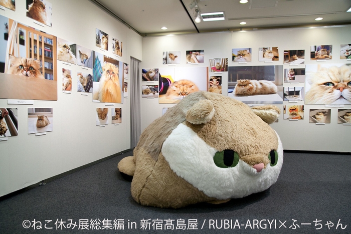 展示作品2