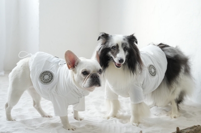 豊富なサイズ展開