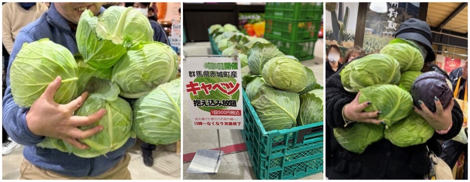 抱え込み放題・キャベツ