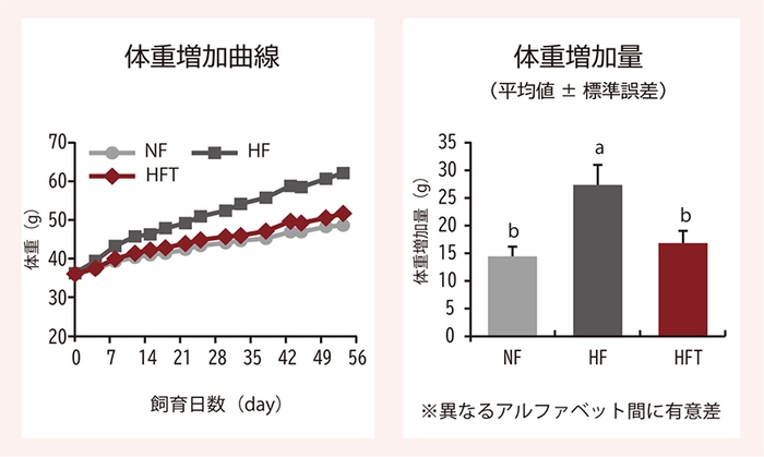 糖化抑制効果等の美容効果を確認(ツバキ種子エキス末)