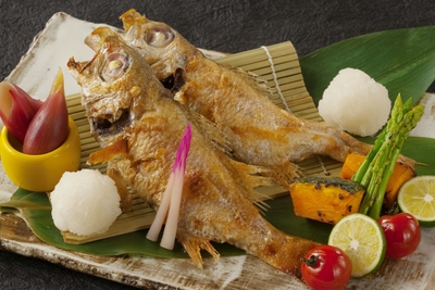 博多 魚蔵2