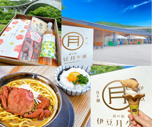 道の駅伊豆月ケ瀬について