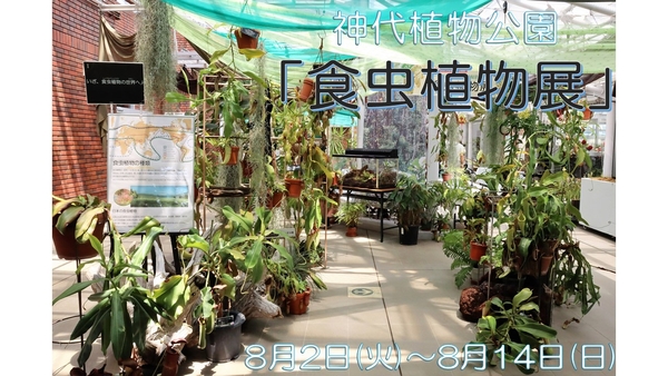 神代植物公園 食虫植物展の様子