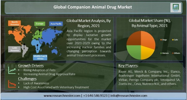 [copy]コンパニオンアニマルドラッグ市場ー動物の種類別（犬、猫、馬、その他の動物）；薬物別;投与経路（経口、非経口、その他）;および販売チャネル別-世界の需要分析および機会の見通し2021-2029年