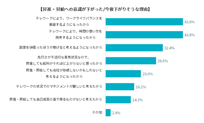 昇進・昇給への意識が下がった/今後下がりそうな理由