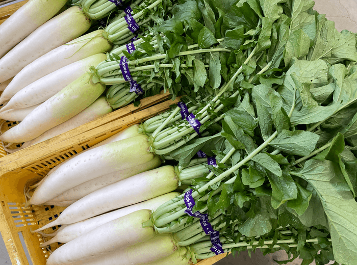 片手でつかみ取り・葉付き大根
