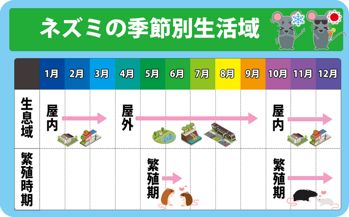 ネズミの季節別生息域