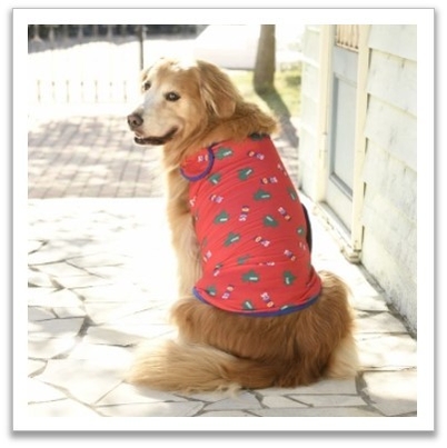 ラクルムウェアエンドレスメイプルリーフ 使用イメージ