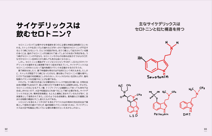 中面見本3