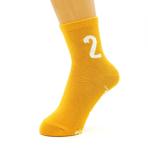 SDGs Socks(カラー：目標2)