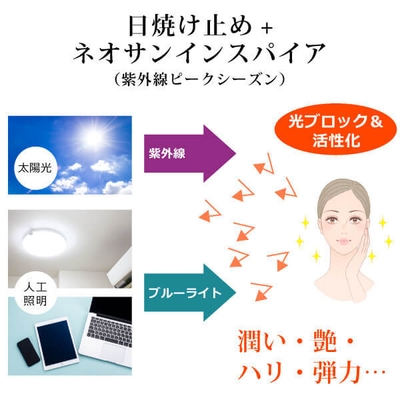 夏は日焼け止めの下でサポート