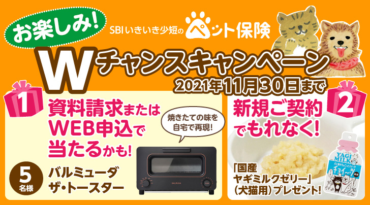 ペット保険の資料請求またはWEB申込で「バルミューダ ザ・トースター 