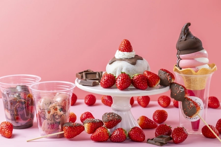 いちごBonBonBERRY ATAMI HOUSE. 【1/10(土)から】ビル一棟まるごといちごスイーツ専門店より いちご×チョコレートのとろけるスイーツメニューがスタート！