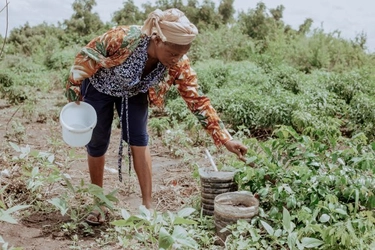 BSIグループジャパン（英国規格協会）、 『レインフォレスト・アライアンス認証』解説動画シリーズ完結編 ――実務担当者必見の最終章をWebで公開