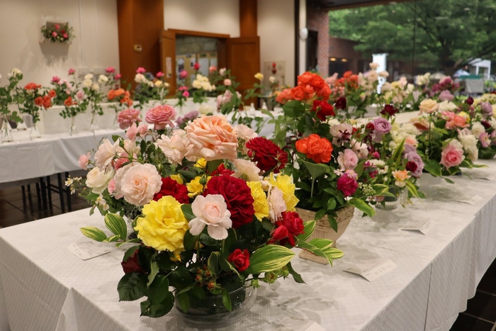 「春のバラ展」の様子(令和6年撮影)