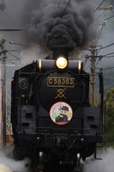 秩父鉄道が長野電鉄と「鉄道むすめ」で桜コラボ　 5/8(日)運行のSLパレオエクスプレスに特別ヘッドマークを掲出、 5/14(土)から記念乗車券、コラボグッズを販売