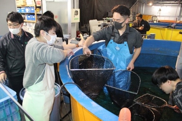 くら寿司に向けて出荷作業に取り組む学生たち