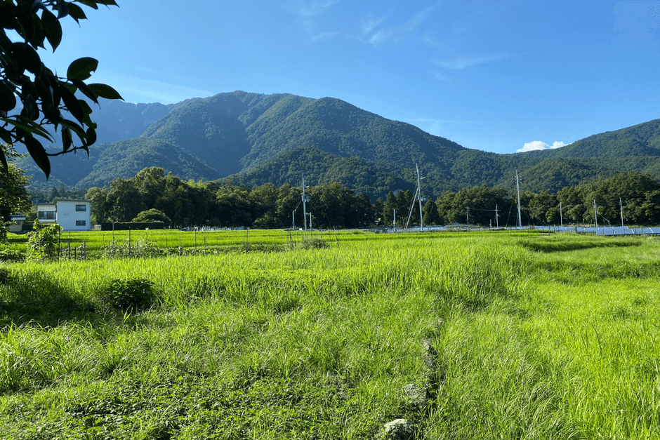 裏の景色　イベントスペースとして活用予定