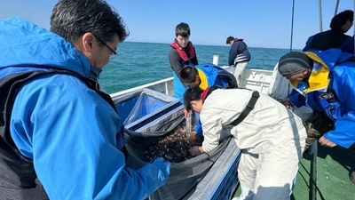 近畿大学と新潟県立海洋高校が高大連携で取り組む海づくり　育てたノドグロ稚魚約1,500尾を日本海に放流
