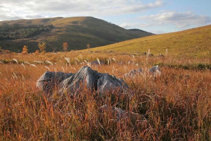 秋の秋吉台(イメージ)